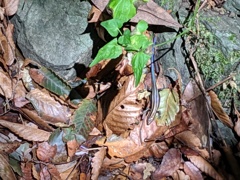 IMG_20190925_105245
