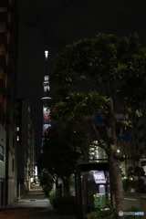 公衆電話BOXに寄り添う木