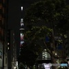 公衆電話BOXに寄り添う木