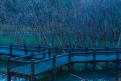 八丁湖2