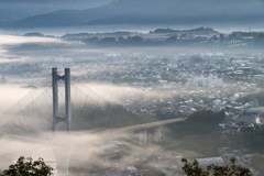 秩父　【雲海】