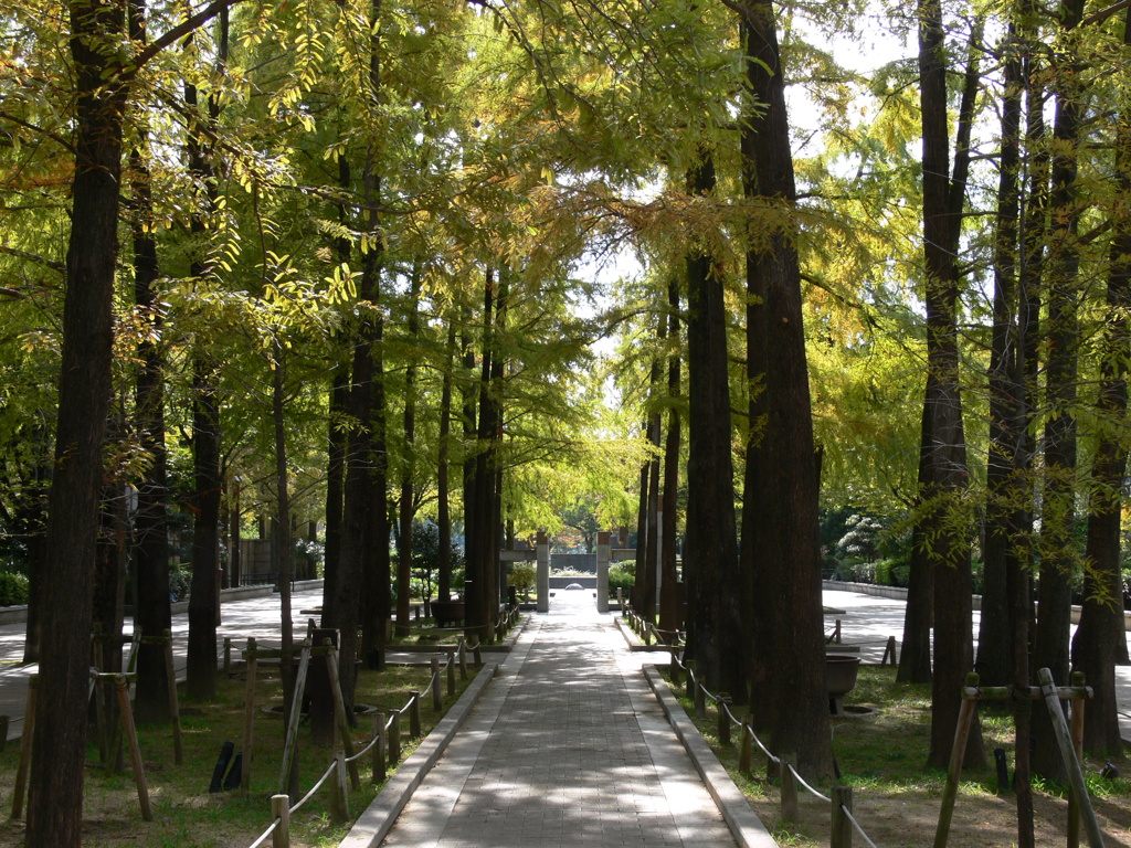 喧騒の中の静寂　1　東遊園地