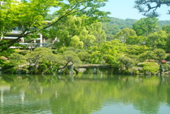 相楽園・日本庭園