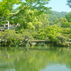 相楽園・日本庭園