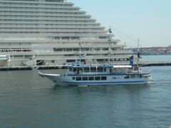 気管支肺炎全快記念　季節がら9　ニコン7600で　オーシャンプリンス