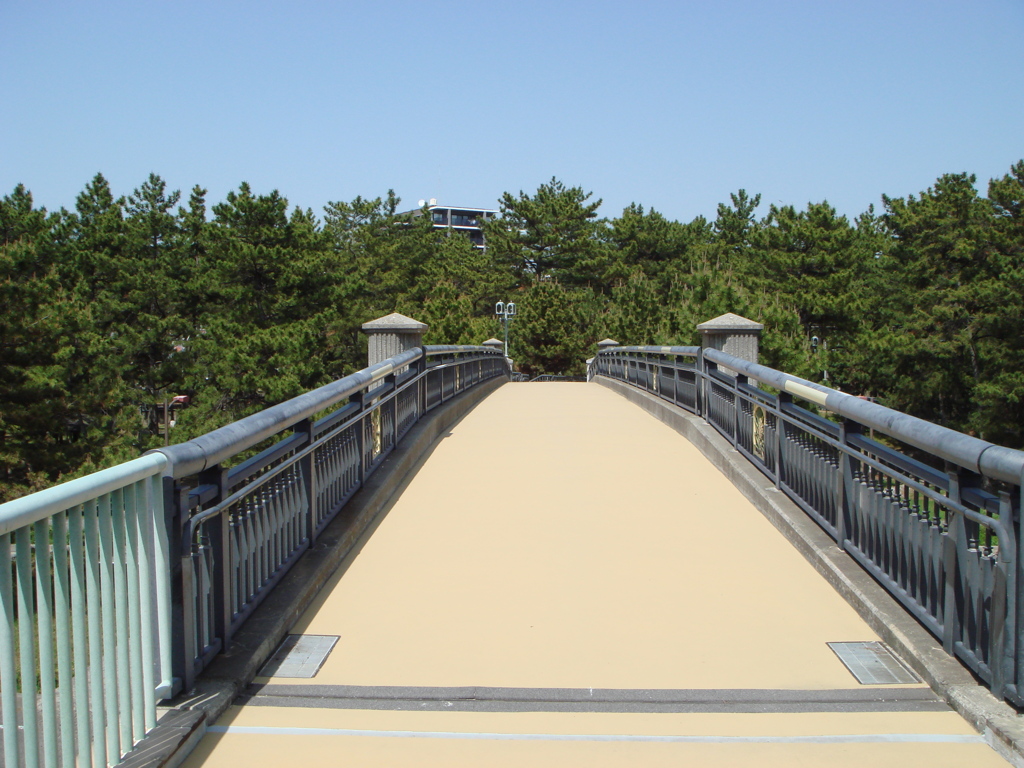 陸橋