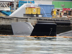 久々のとうりゅう！vol.12