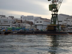 久々のとうりゅう！vol.2