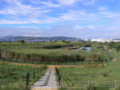 平磯・なぎさの池　全景