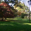 秋の公園　1