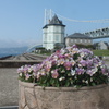 孫文記念館と明石海峡大橋2