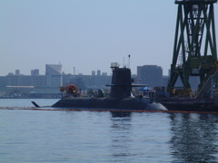 おまけ　FINEPIX4900Z　とうりゅう！