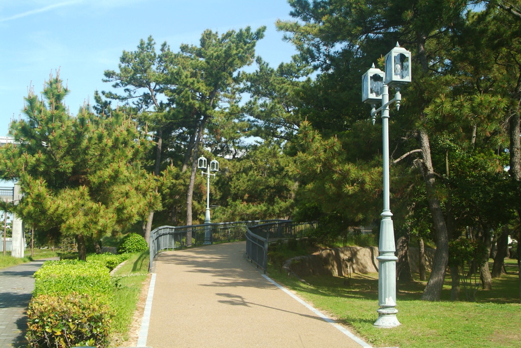 散歩道