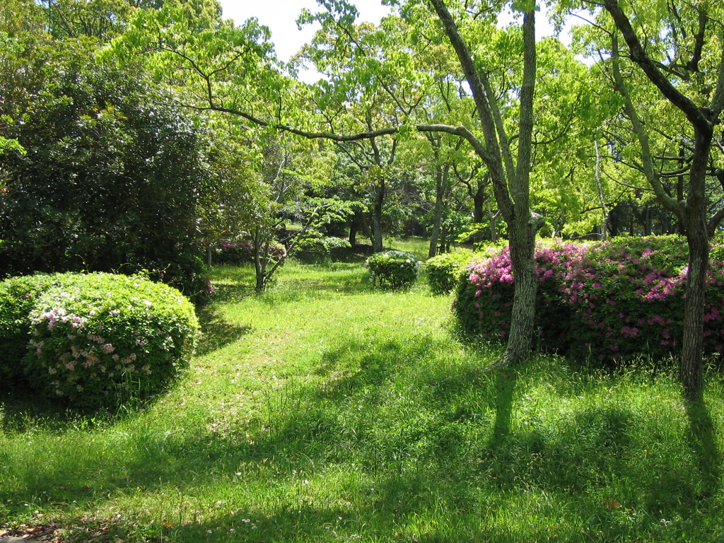 近場の公園1