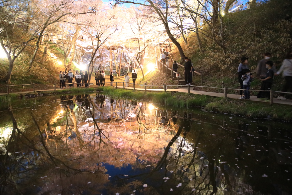 高遠城址公園