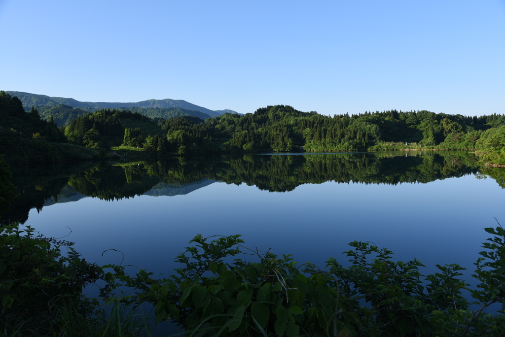 初夏映す池