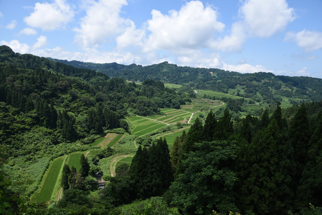 断崖農業