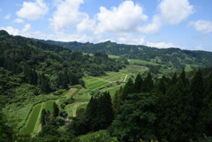 断崖農業