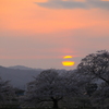 さくら色の夕景