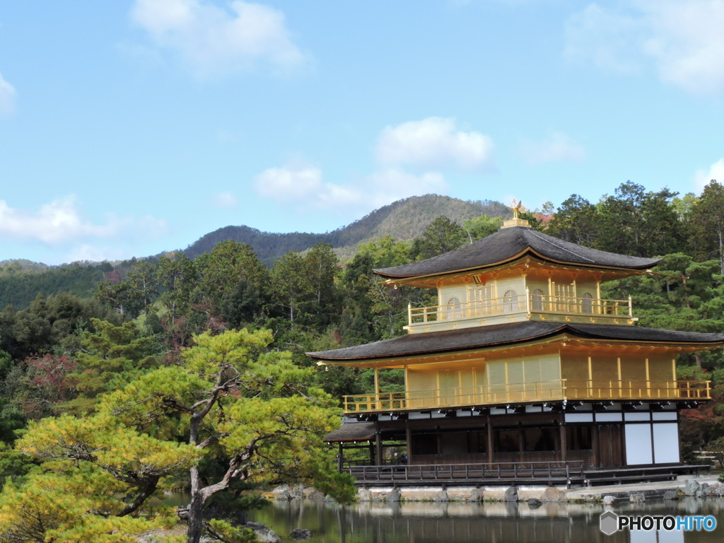 秋の金閣寺