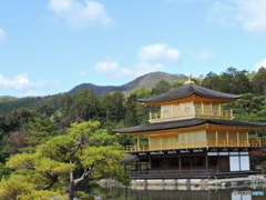 秋の金閣寺