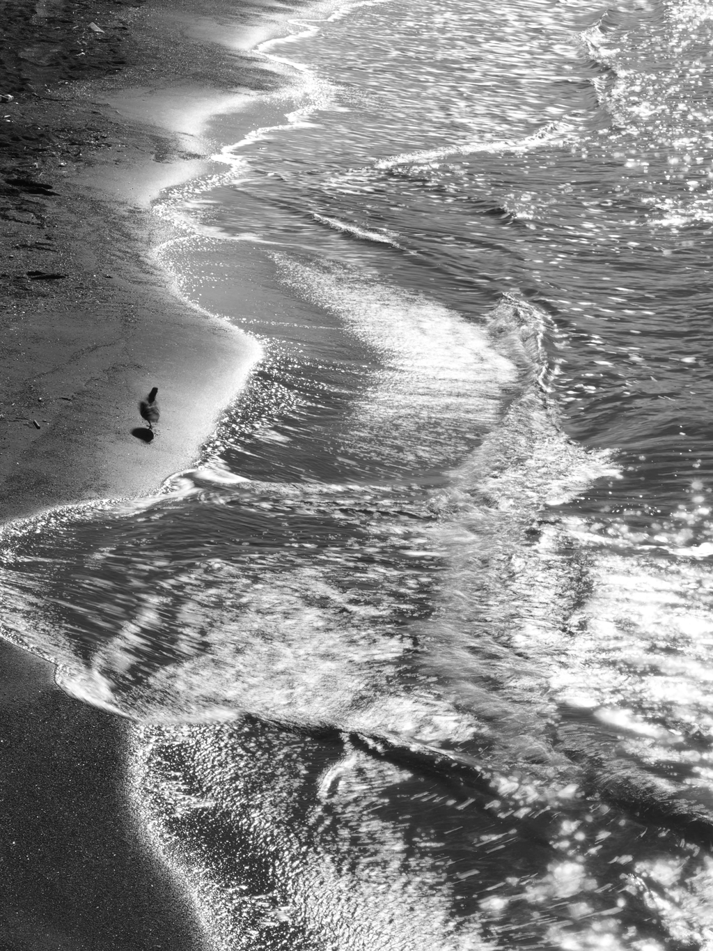 波打ち際のダンス