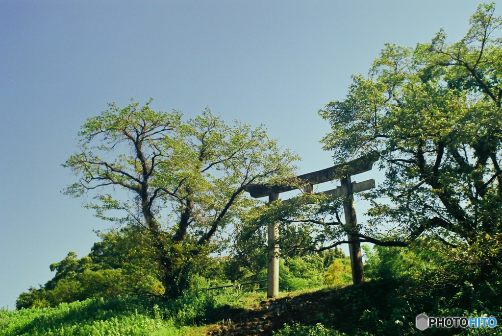 土手にある鳥居2