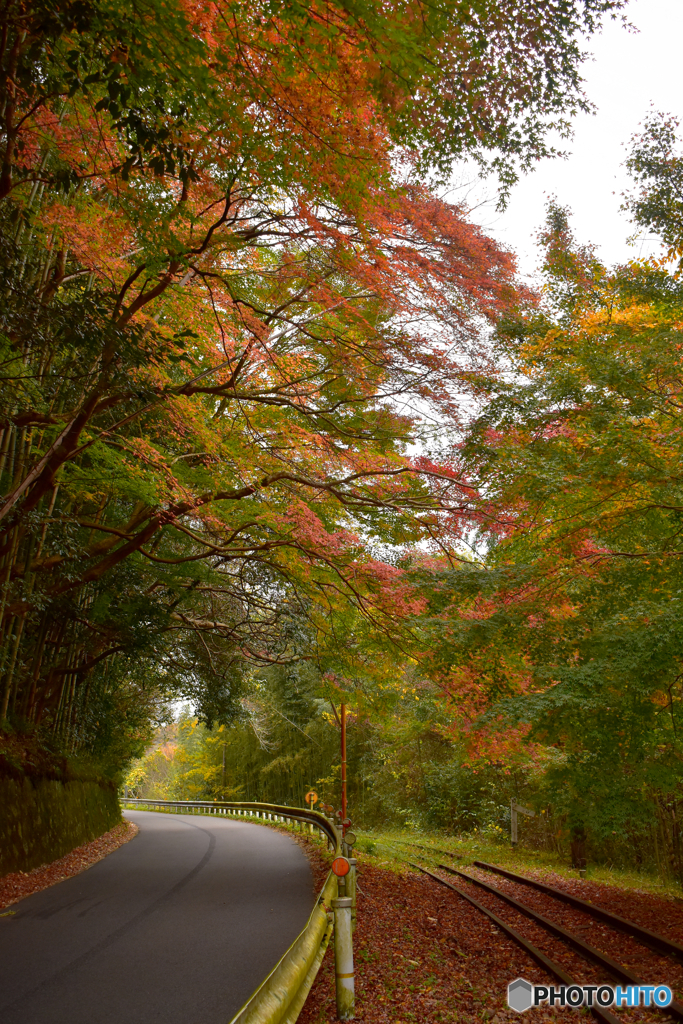 廃線跡2