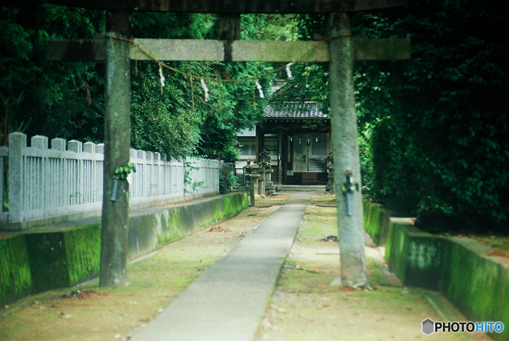 神社(フィルム)