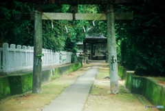 神社(フィルム)