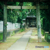 神社(フィルム)