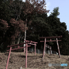 鳥居