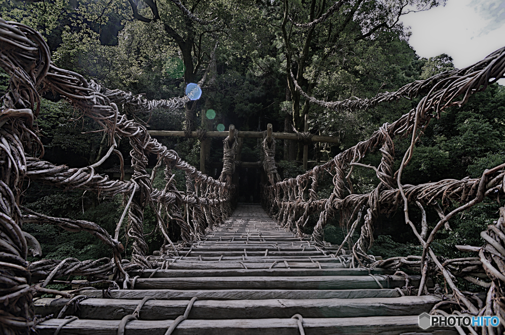 祖谷のかずら橋