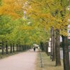 冬ソナストリート