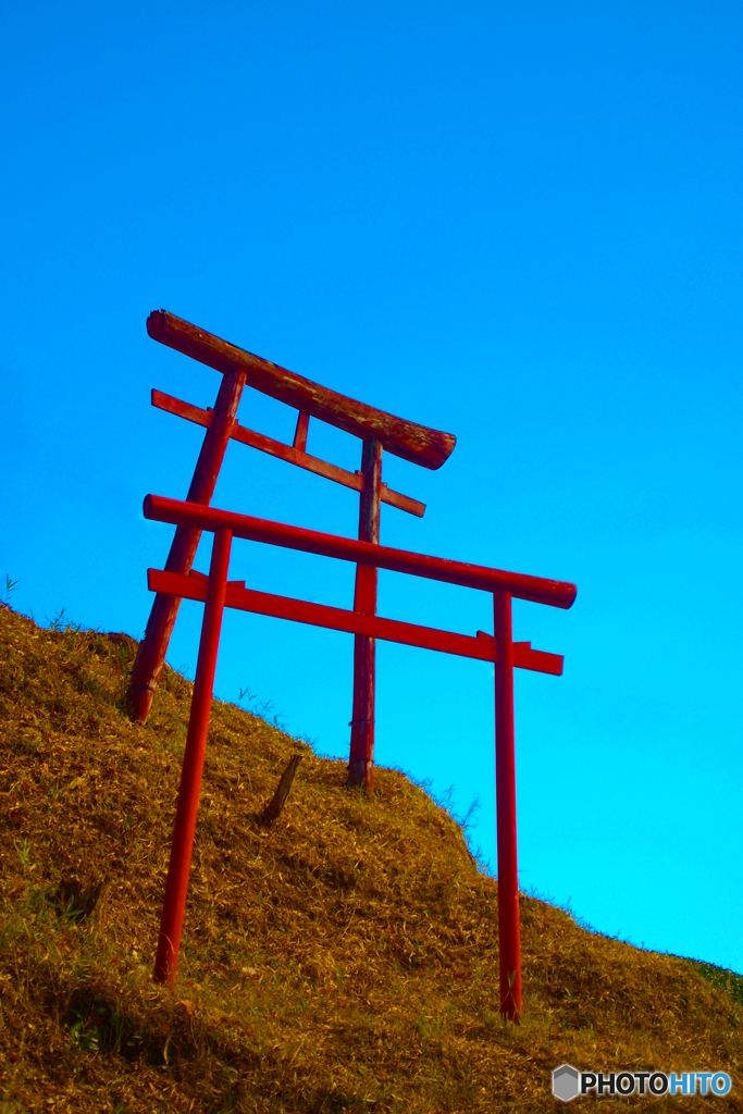 鳥居2