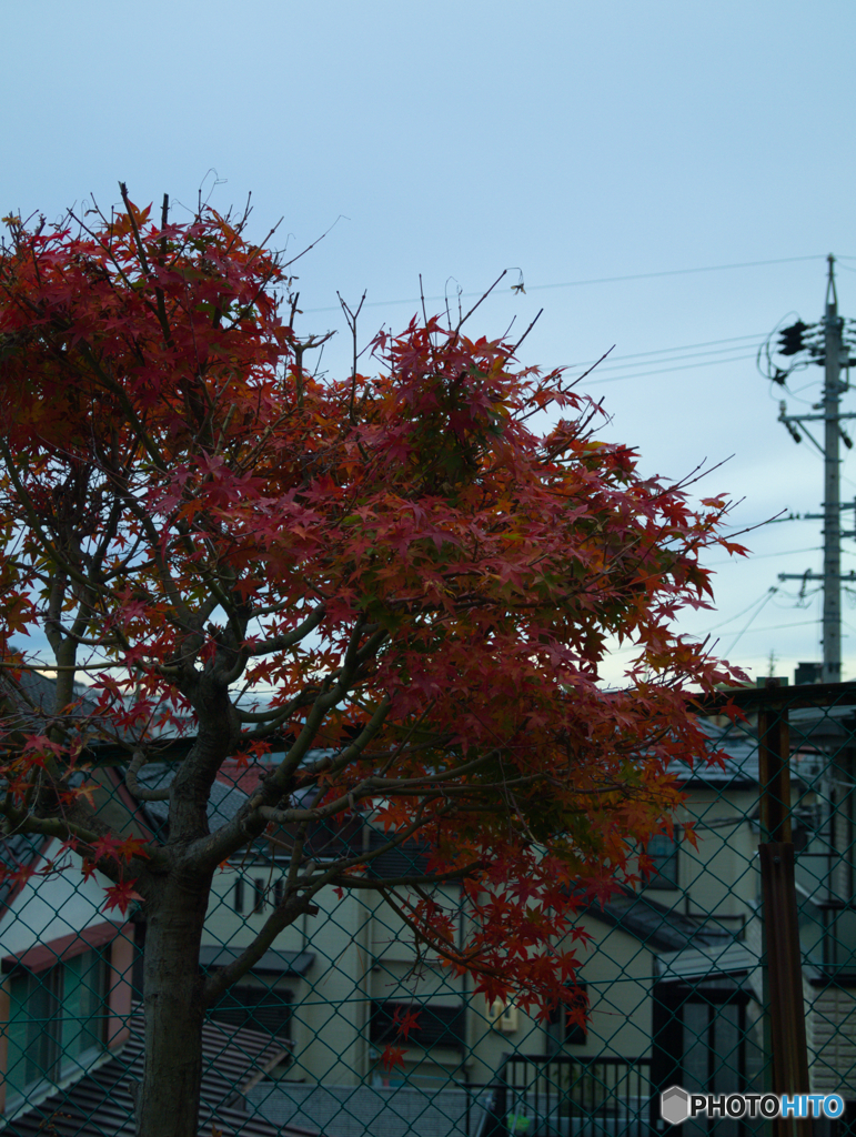 RAW練習中