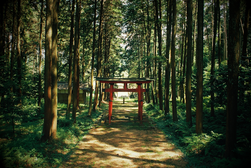 神社3(フィルム)