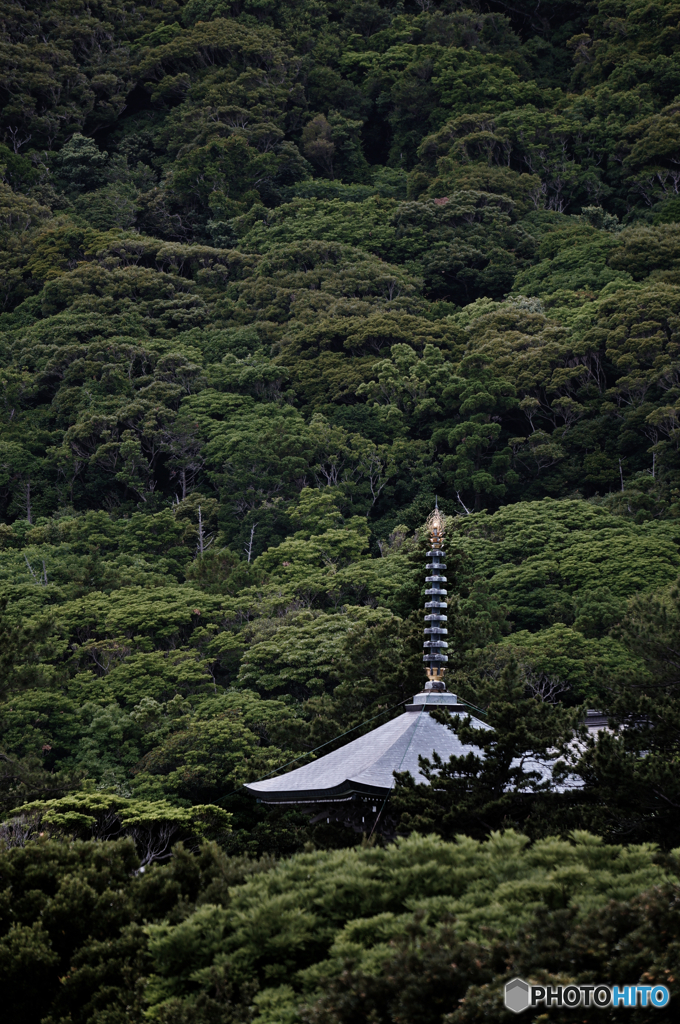 金剛福寺