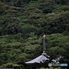 金剛福寺