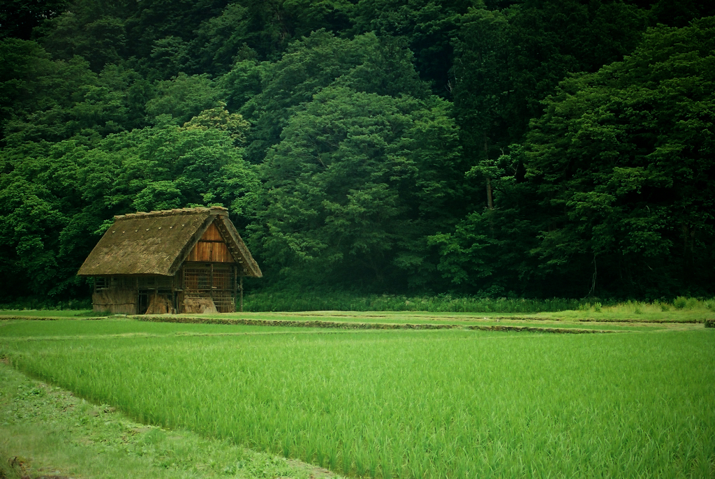 田舎