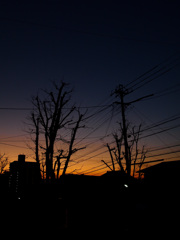 夕日2