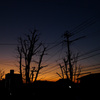 夕日2