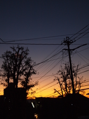 夕日