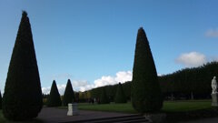 DVC00163 Петергоф