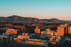 University