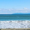 秋海