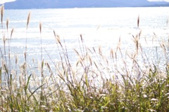 秋晴れの海