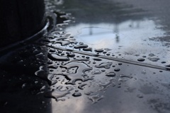 雨上がり