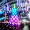 博多駅前　クリスマスツリー
