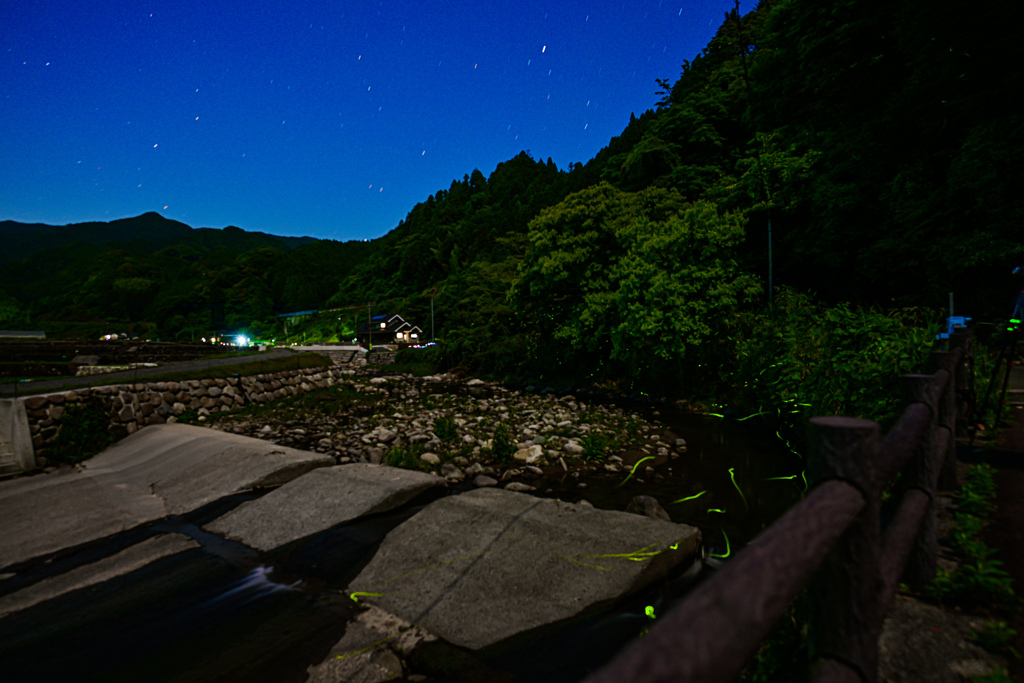 東峰村の蛍